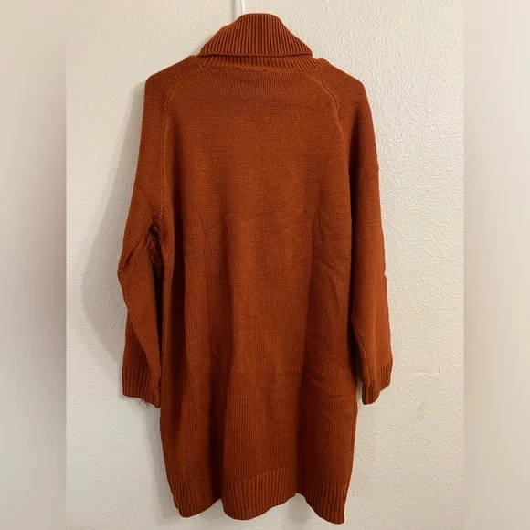 NWT Chunky Knit Turtle Neck fringe Sweater Dress - Picture 7 of 8